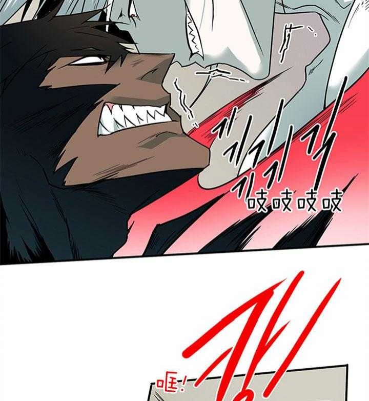 43.jpg