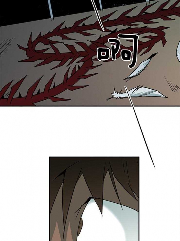 26.jpg