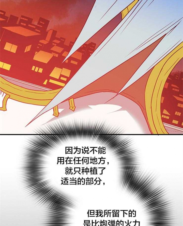 16.jpg