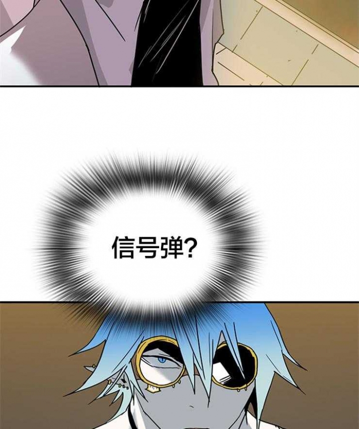 41.jpg