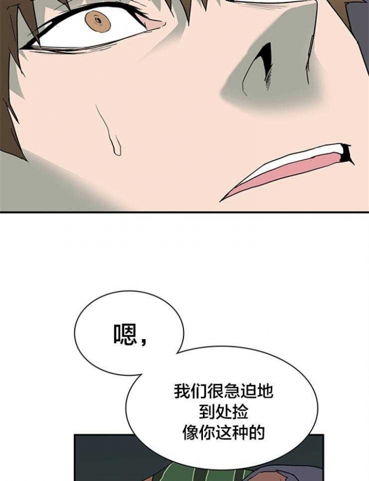 21.jpg
