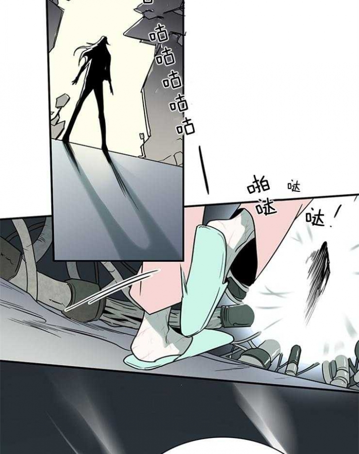 25.jpg