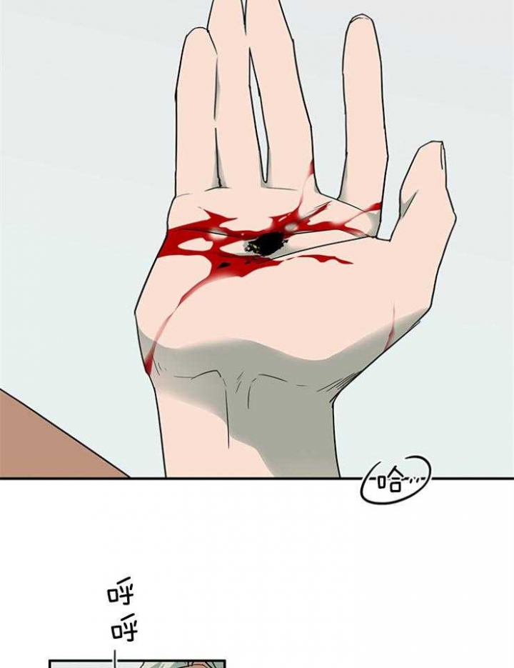 35.jpg