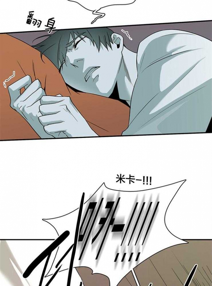 45.jpg