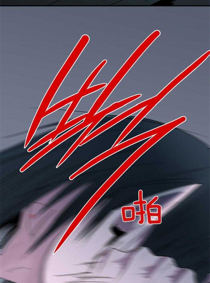 48.jpg