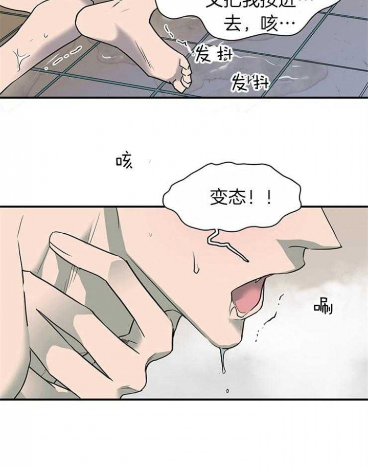 28.jpg