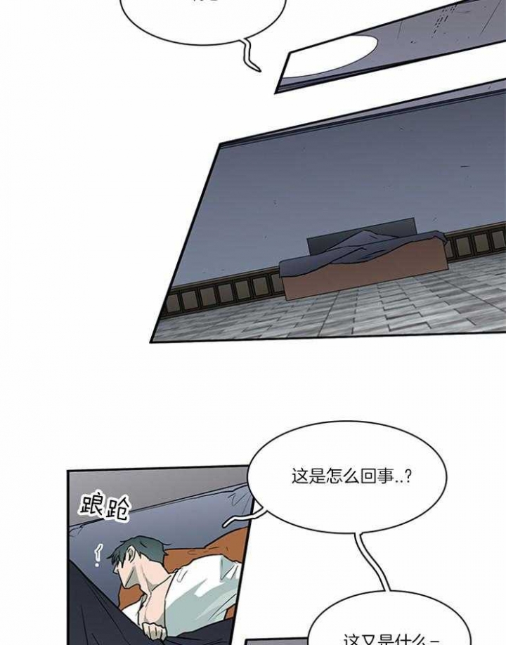 19.jpg