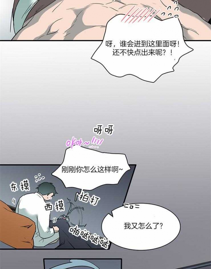 21.jpg