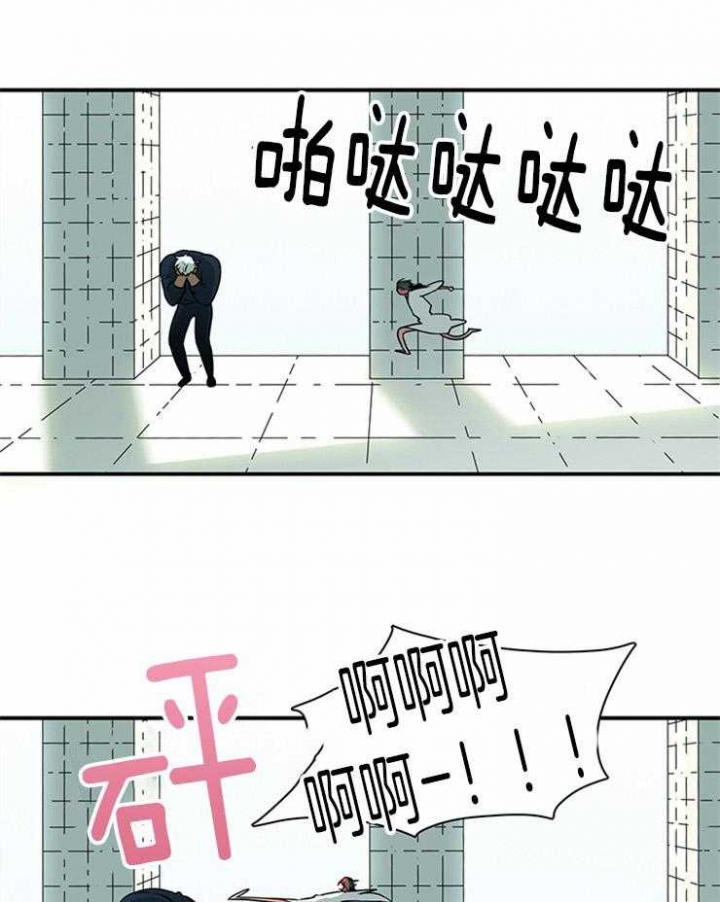 35.jpg