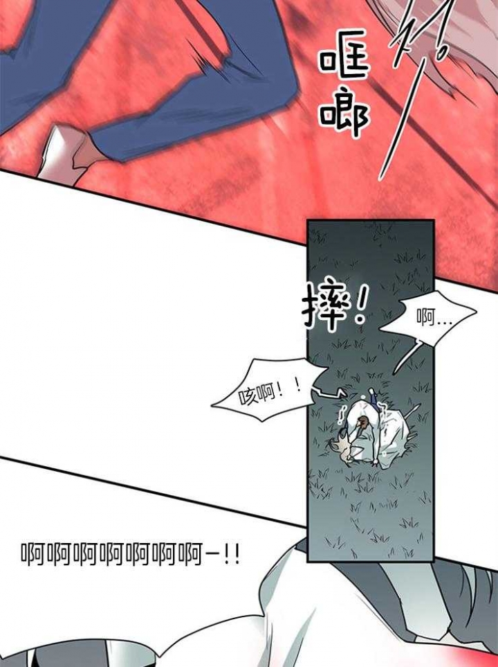 31.jpg