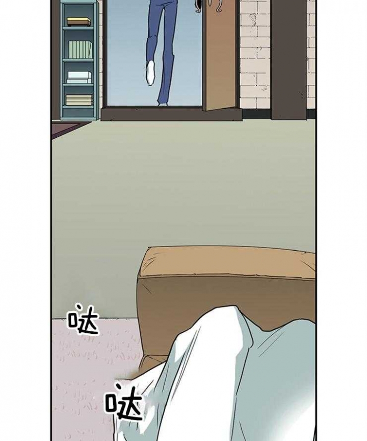 41.jpg
