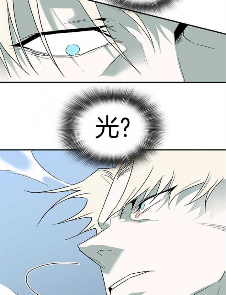 41.jpg