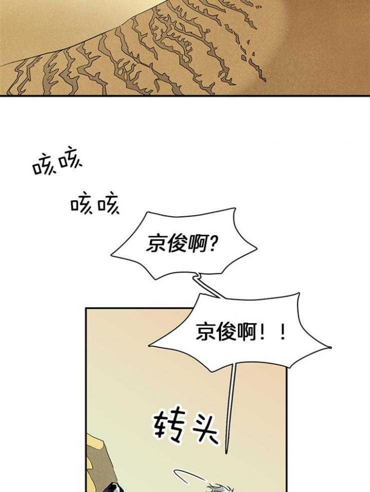 51.jpg