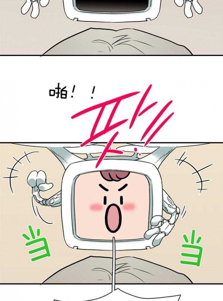25.jpg