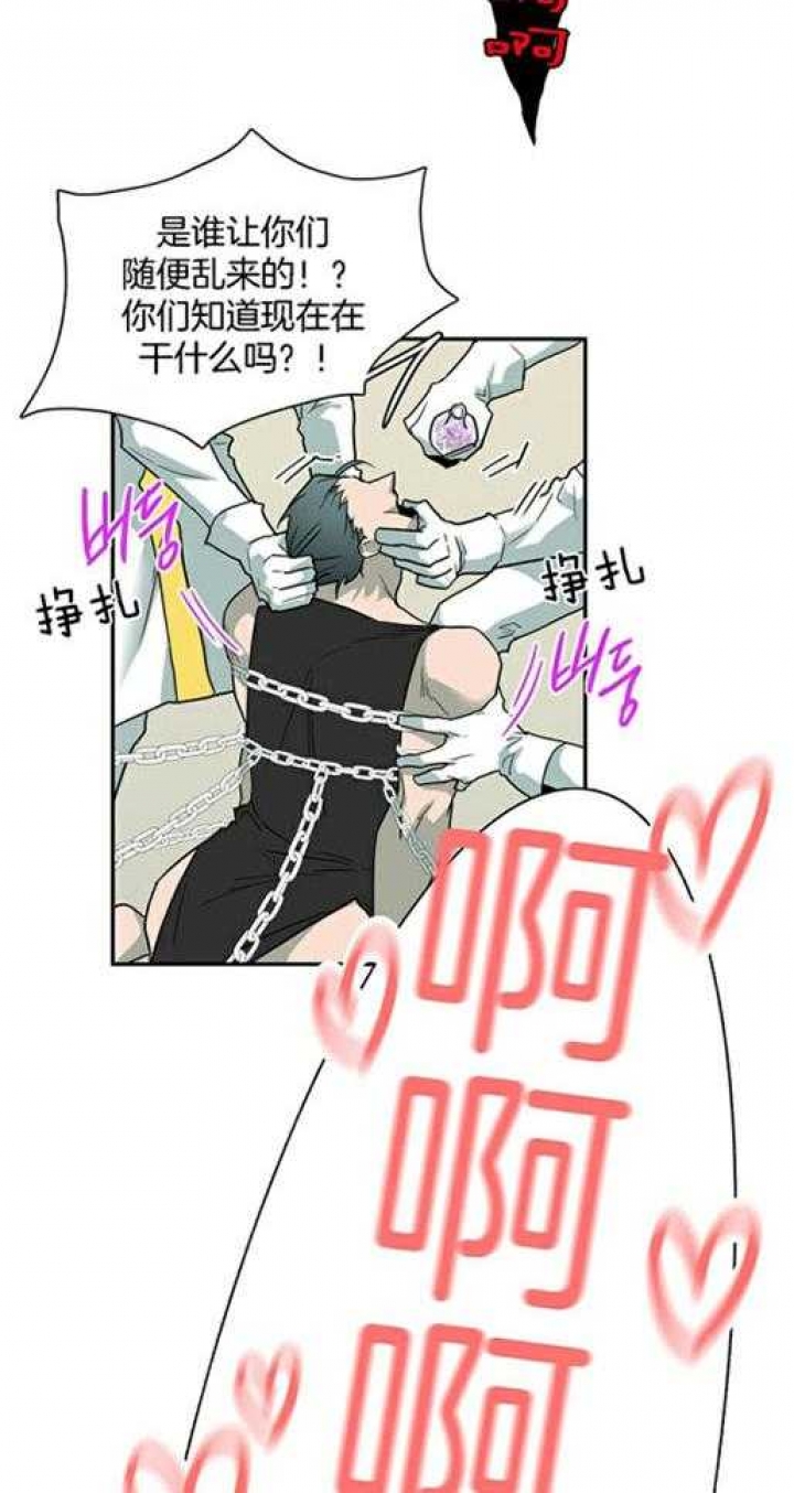 29.jpg