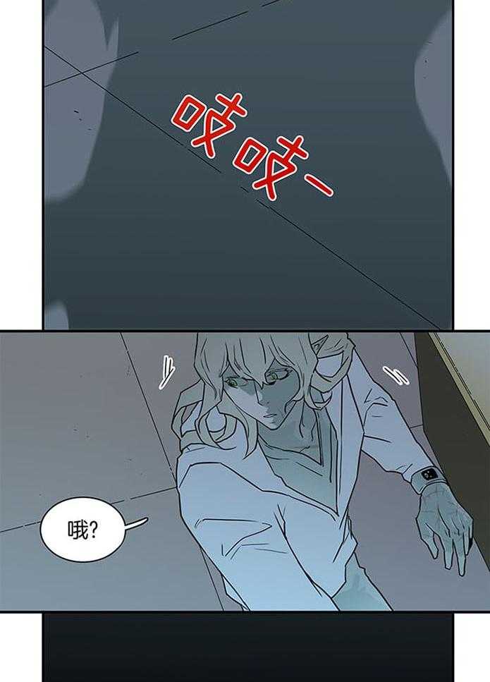 28.jpg