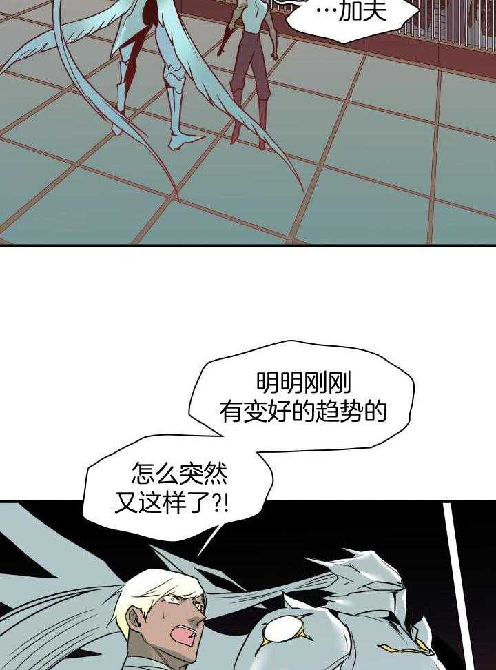 17.jpg