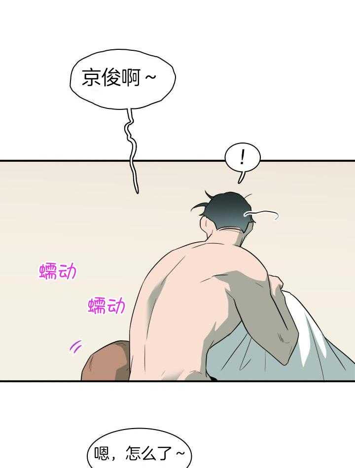 41.jpg