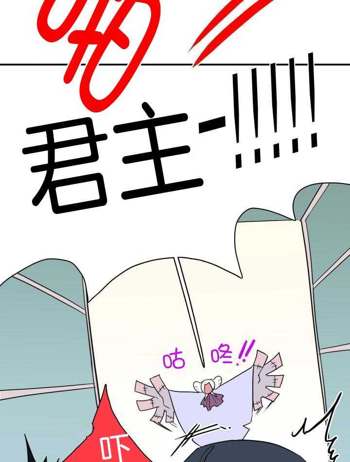 29.jpg