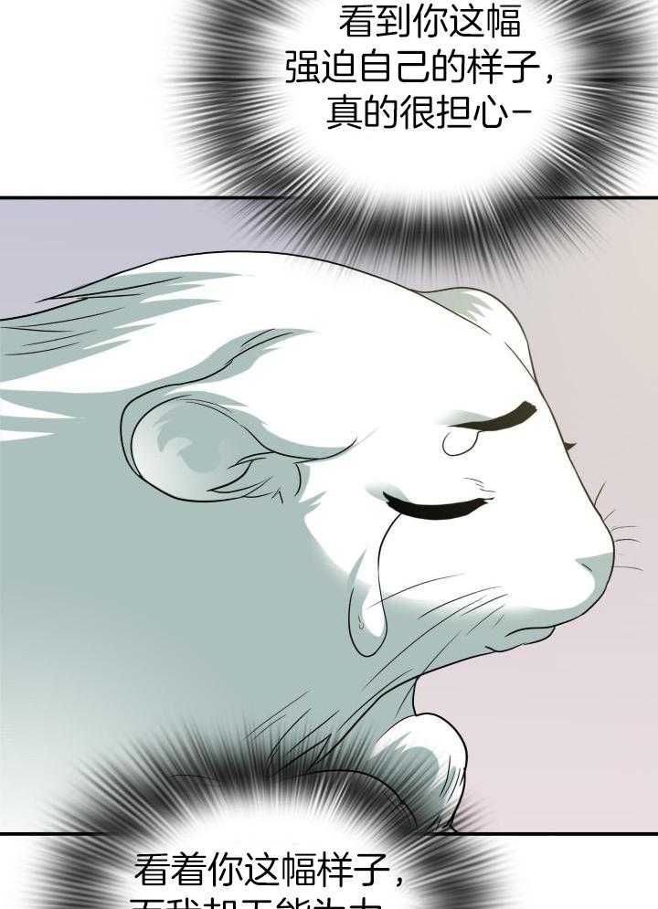 43.jpg