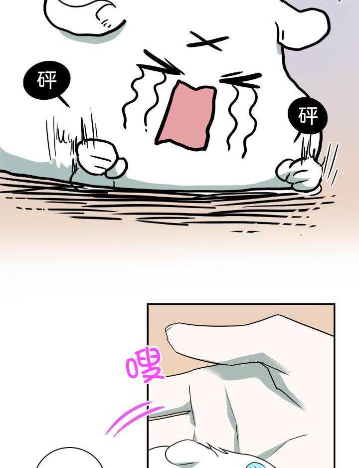 20.jpg