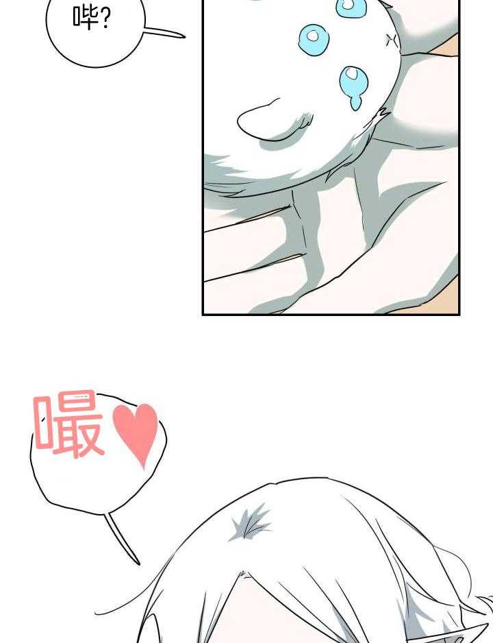 21.jpg