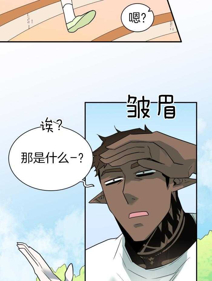 29.jpg