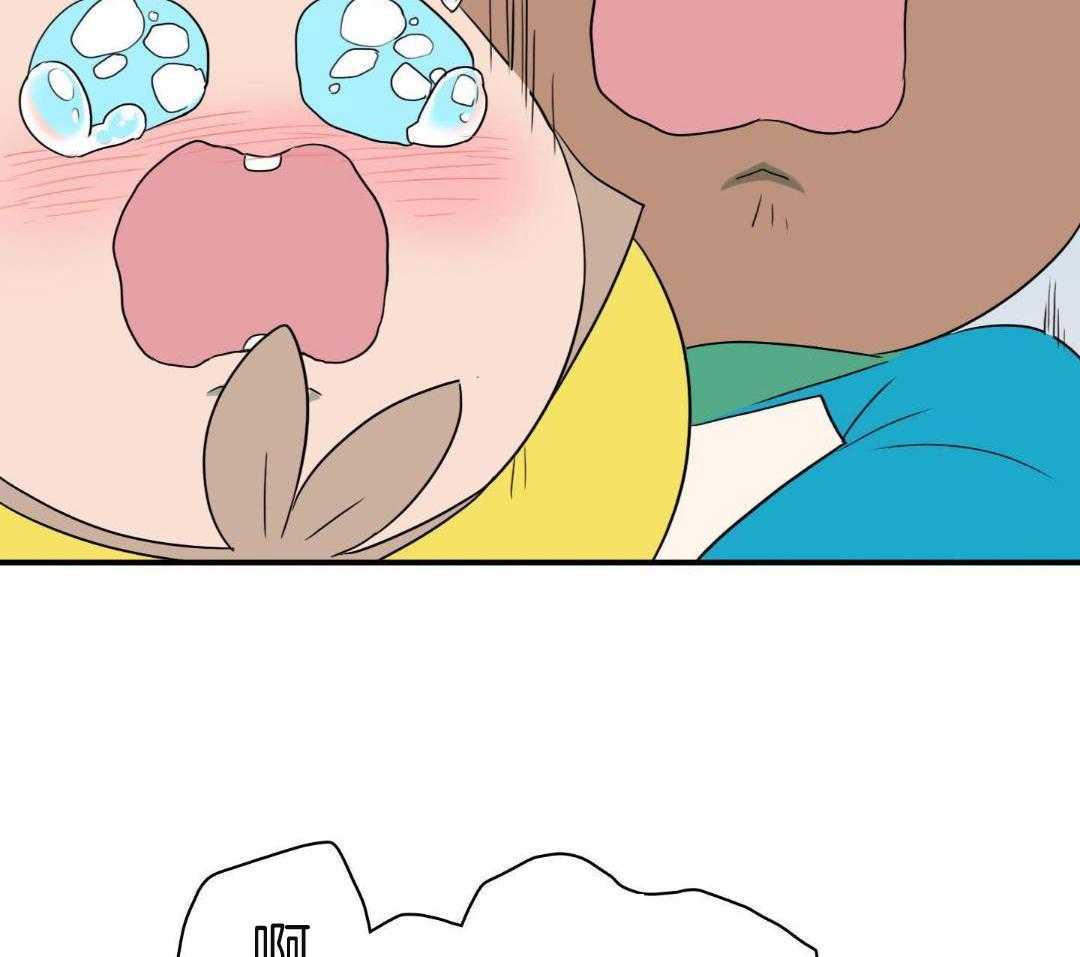35.jpg