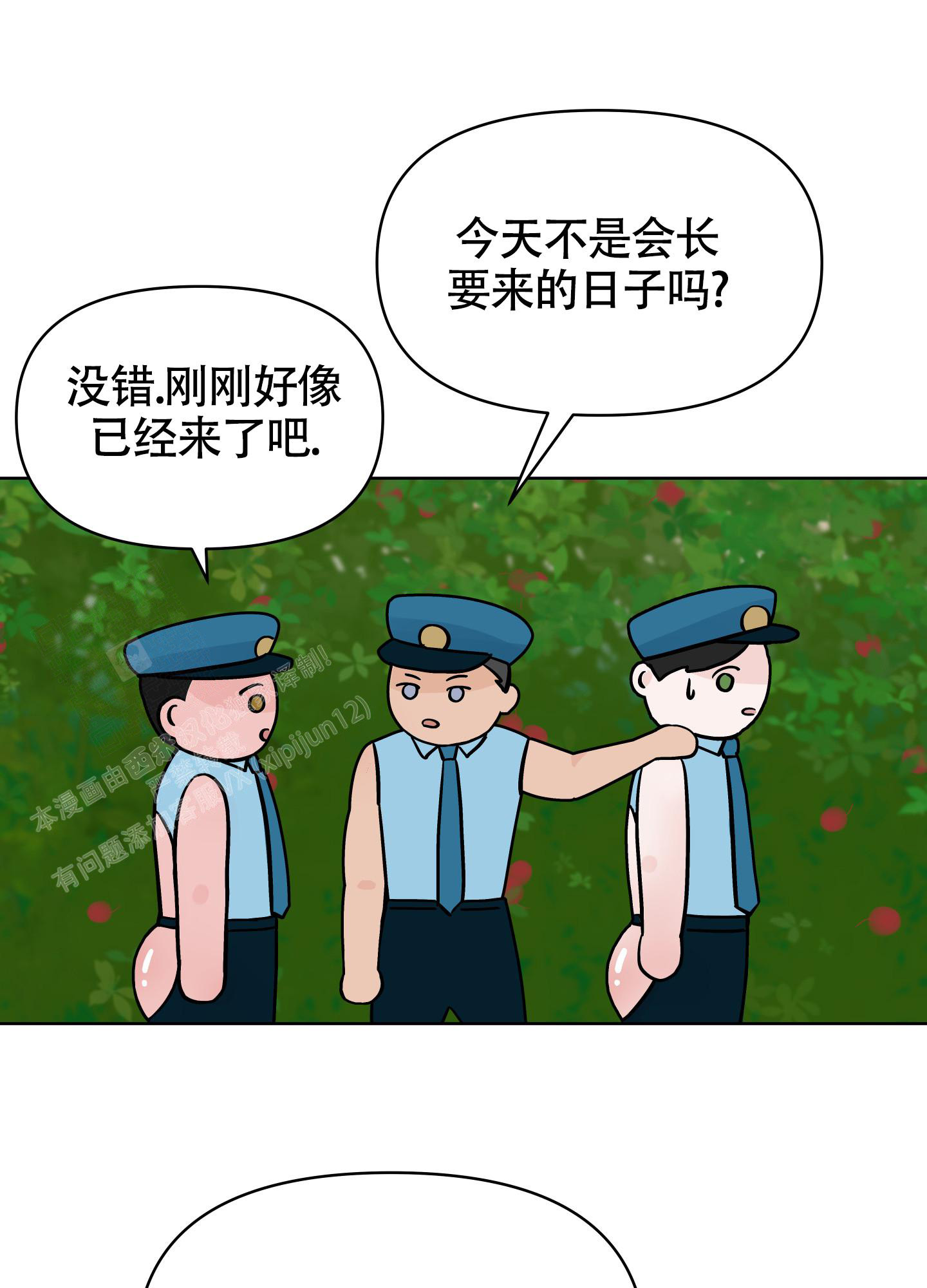 12.jpg