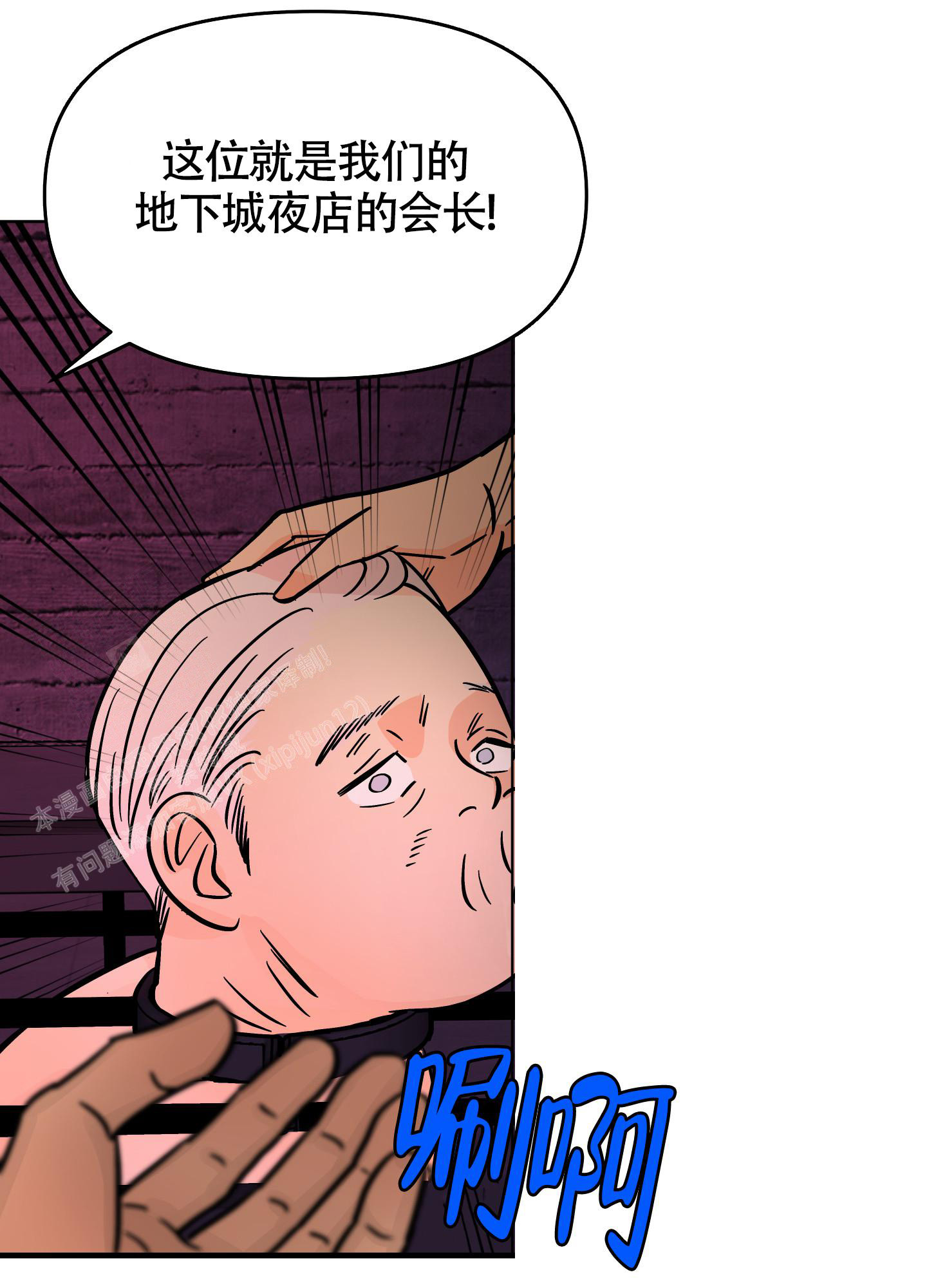 20.jpg