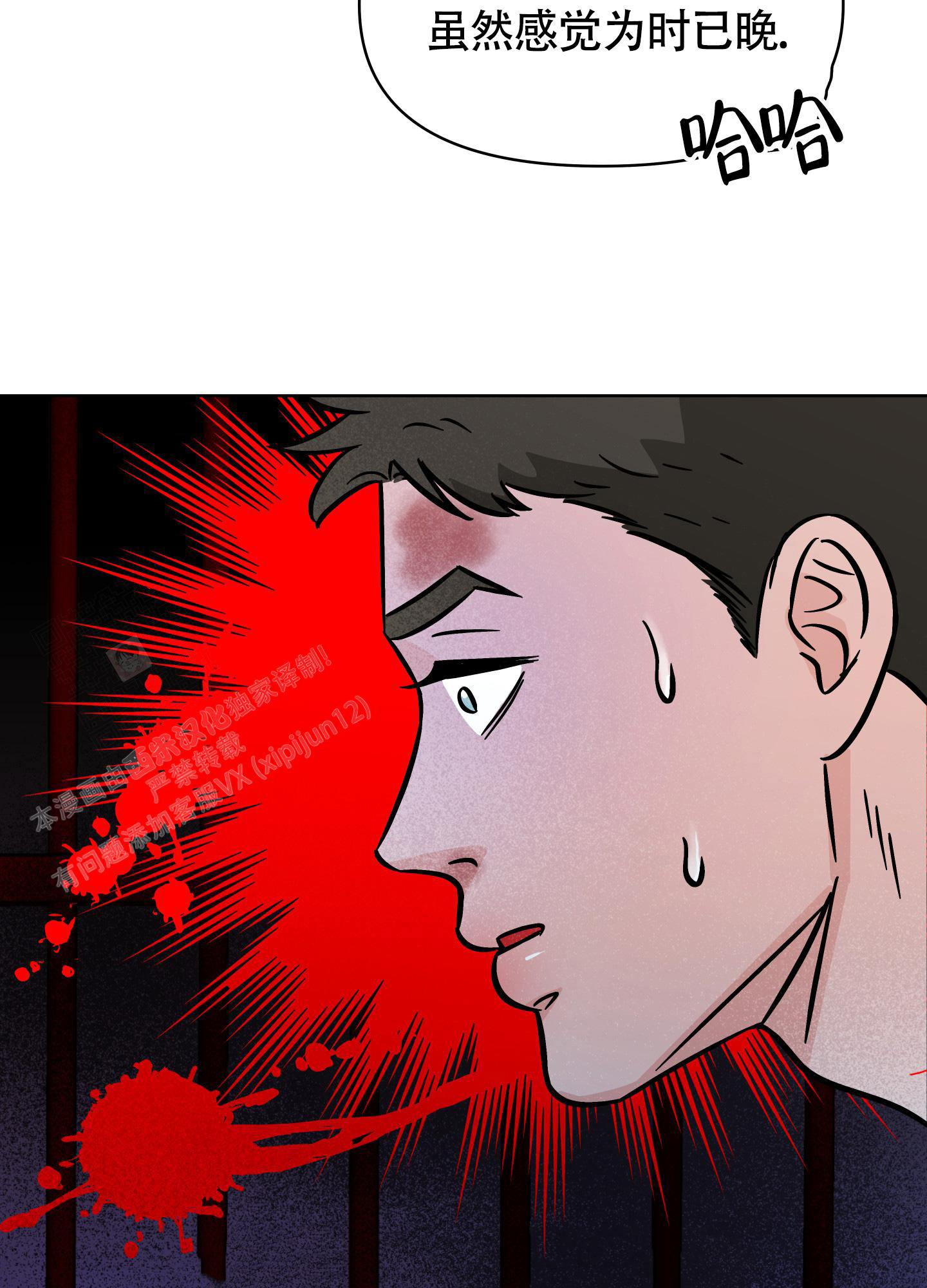 13.jpg
