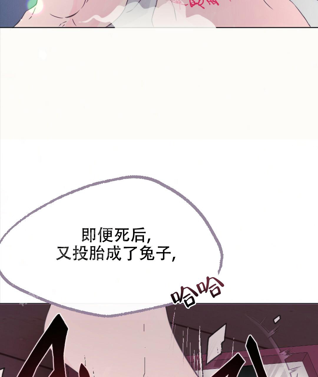 43.jpg