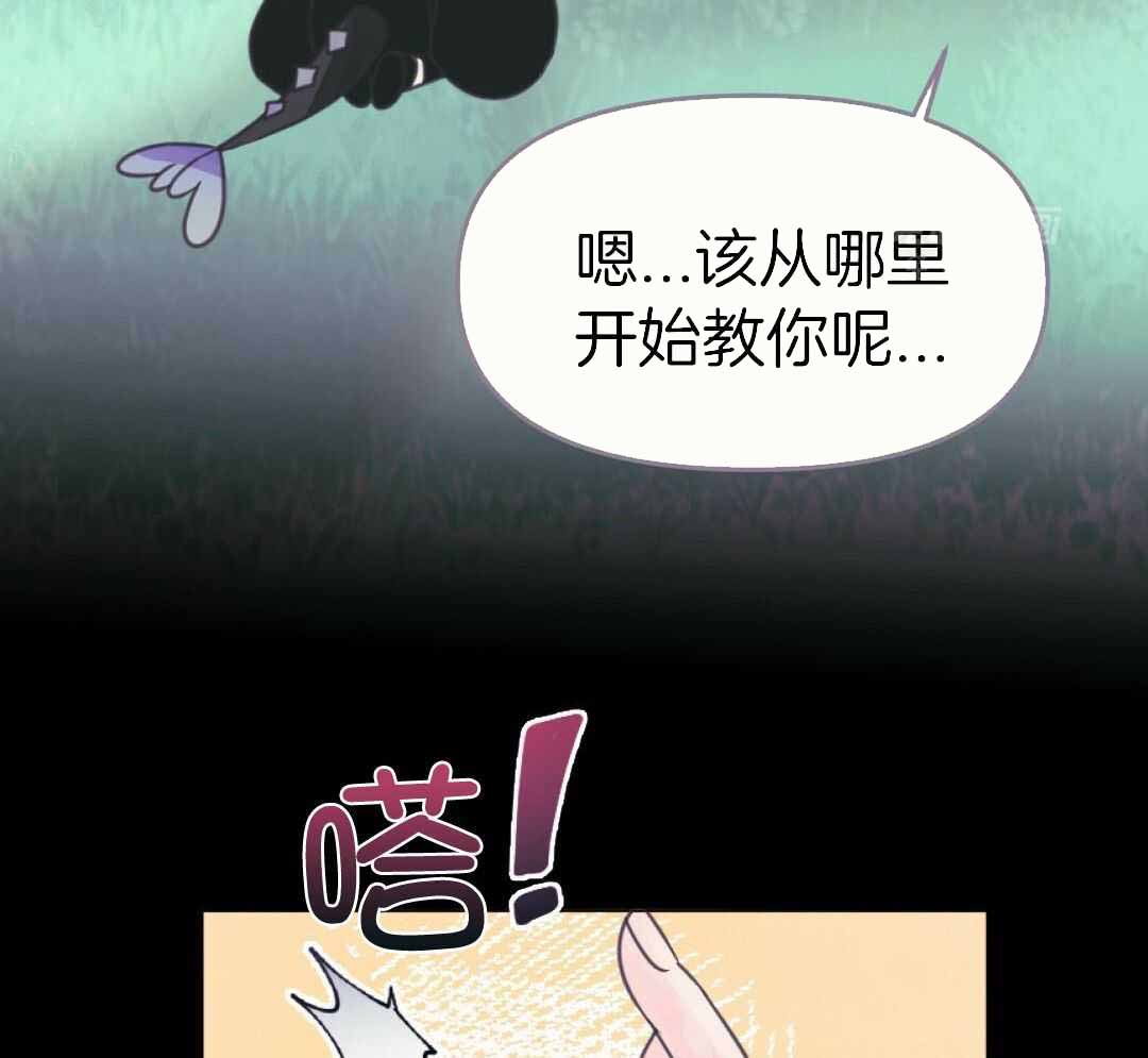 39.jpg