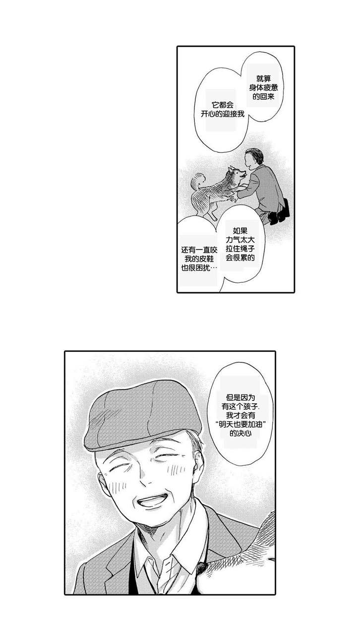 16.jpg