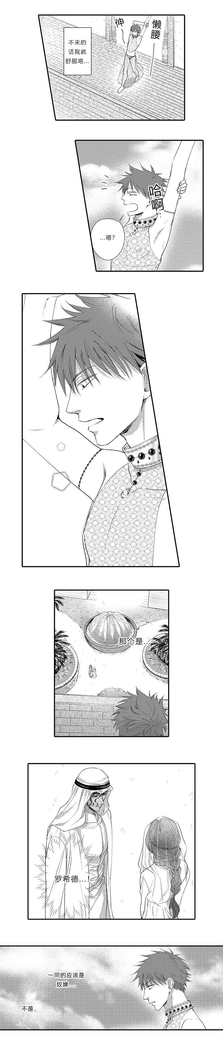 5.jpg