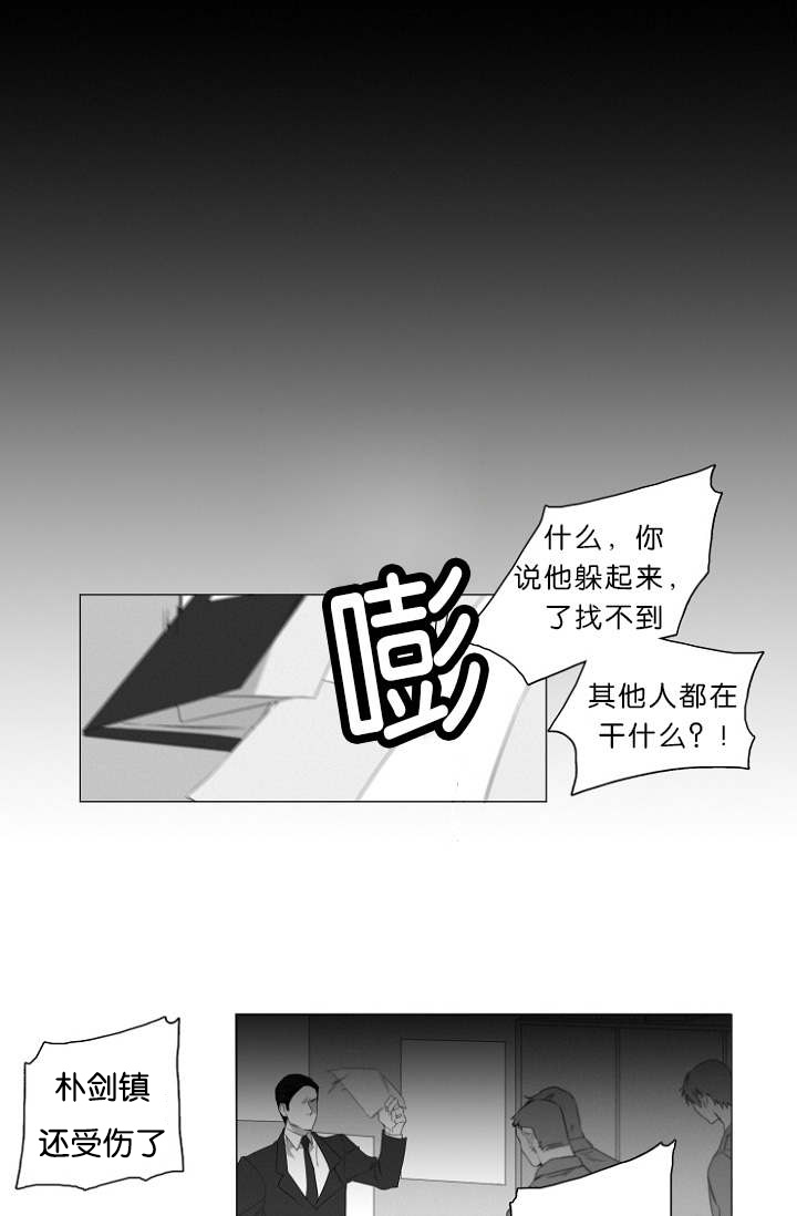 25.jpg