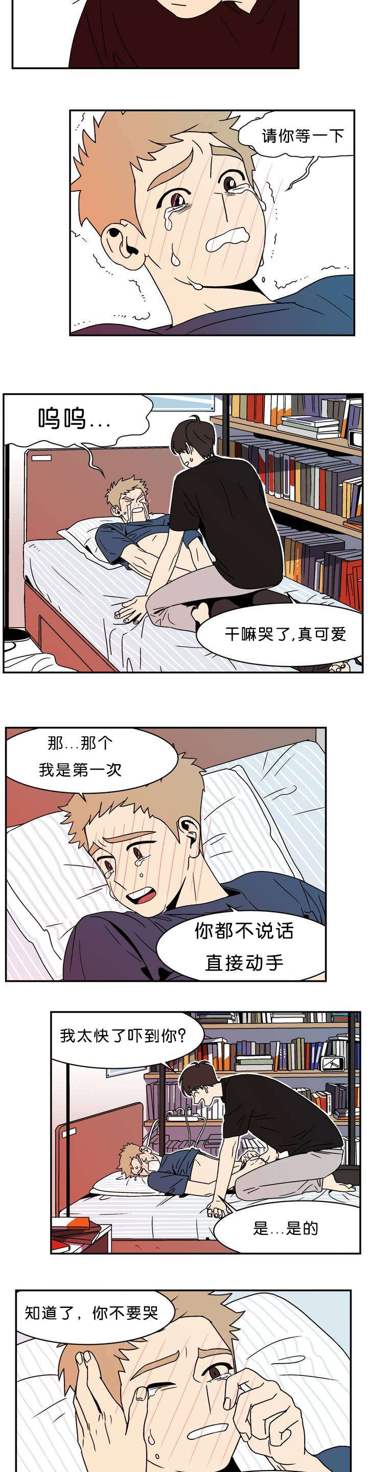 3.jpg