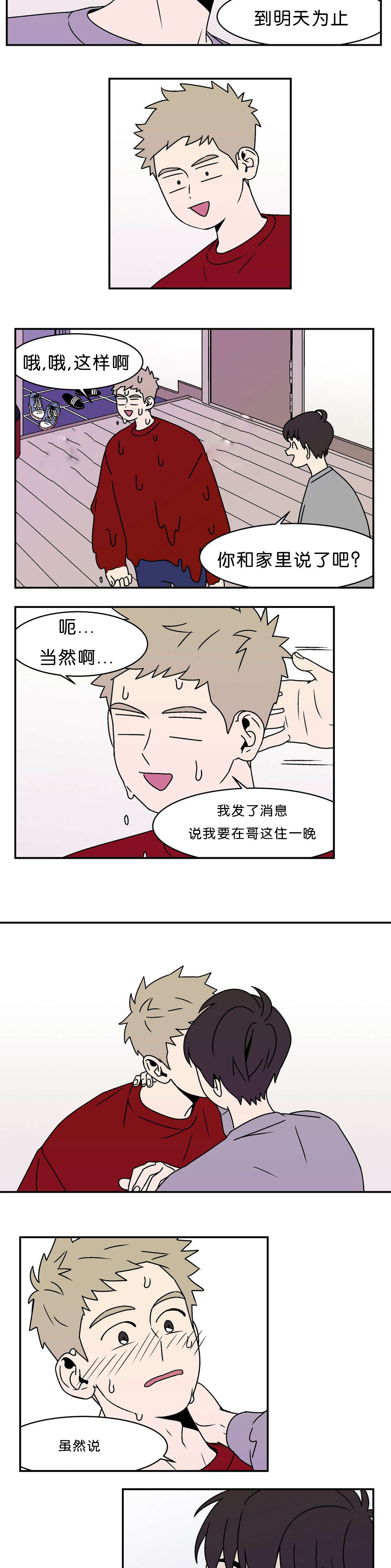 5.jpg