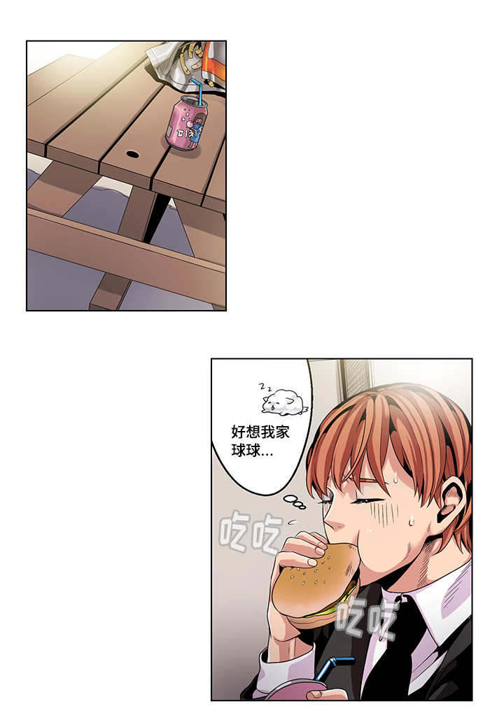 12.jpg