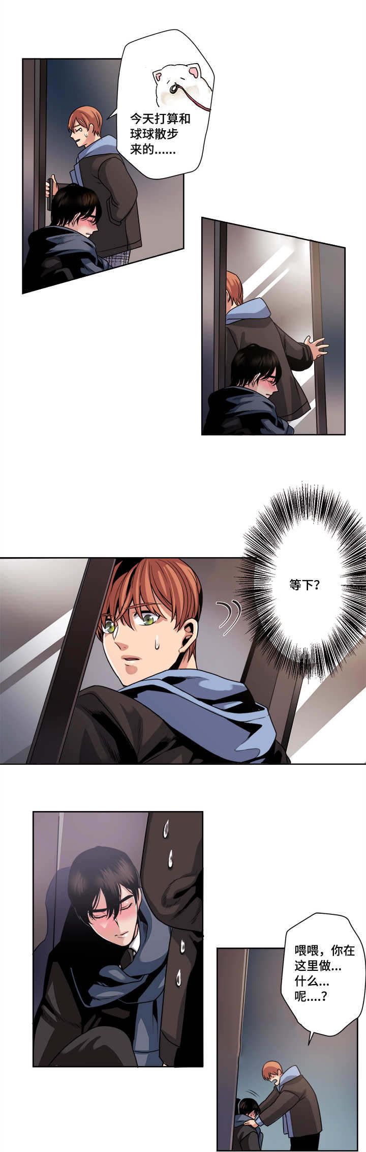 11.jpg