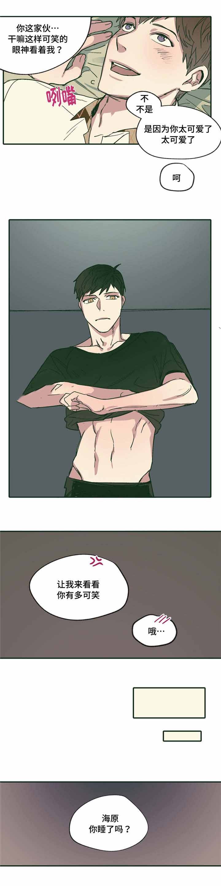 8.jpg