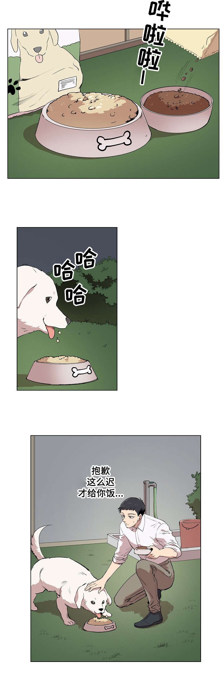 18.jpg