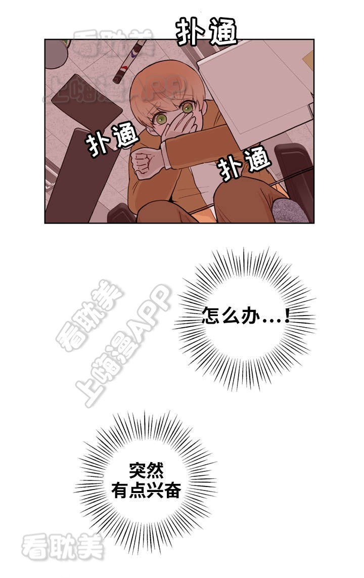 15.jpg