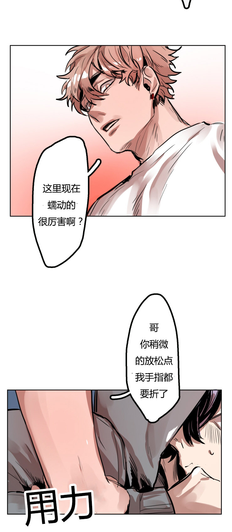 15.jpg
