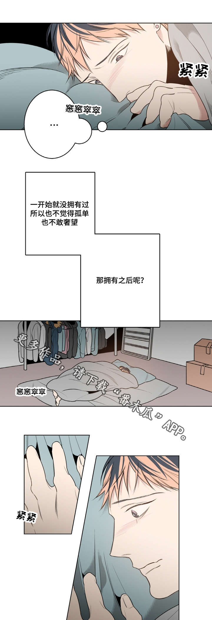 11.jpg