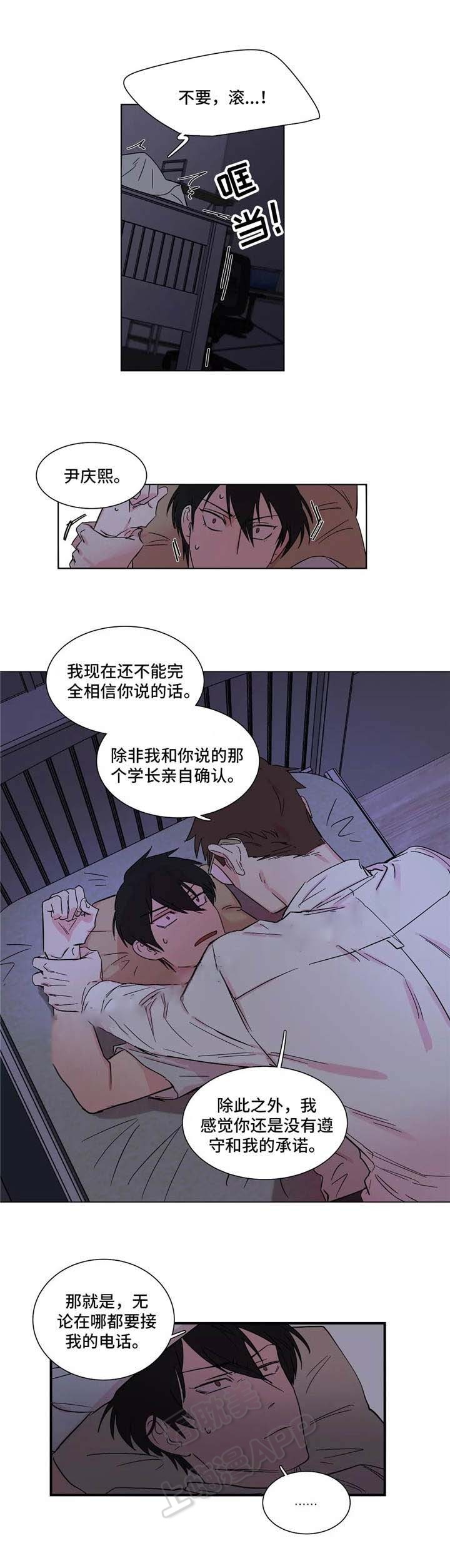 8.jpg