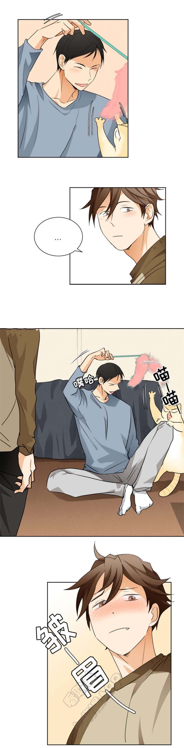 7.jpg