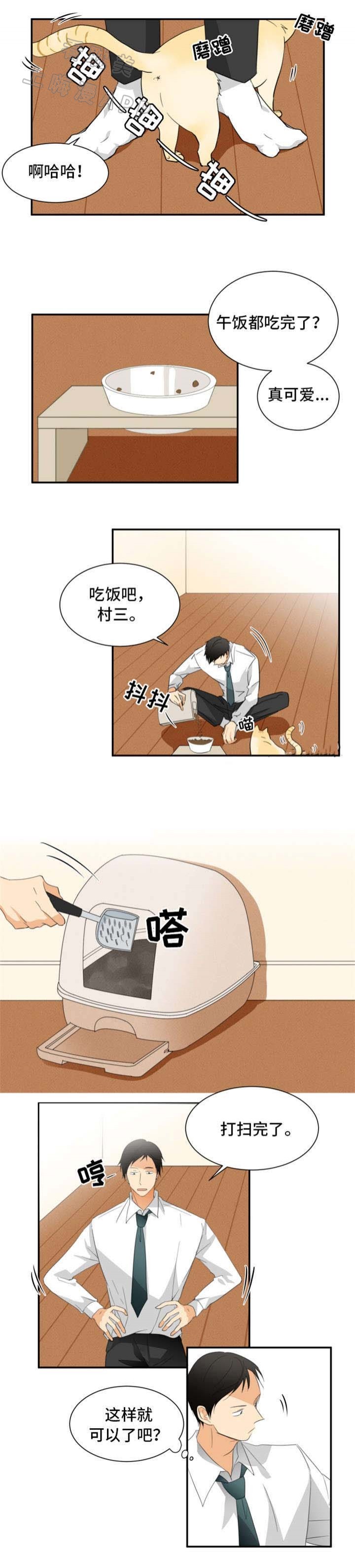 3.jpg