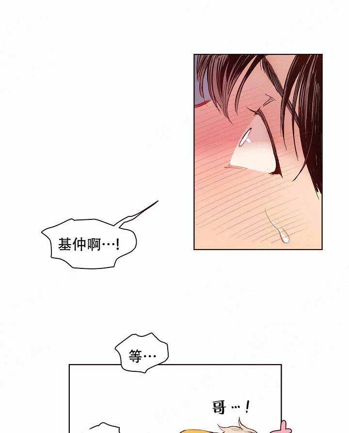15.jpg
