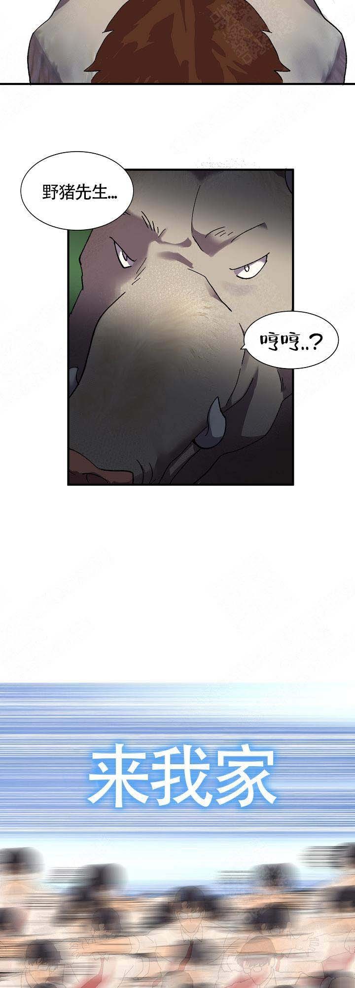 17.jpg